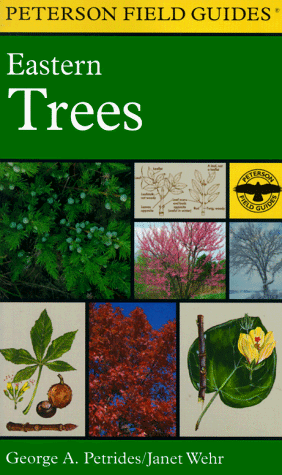 Eastern Trees (Peterson Field Guides)