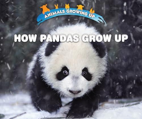 How Pandas Grow Up (Animals Growing Up)