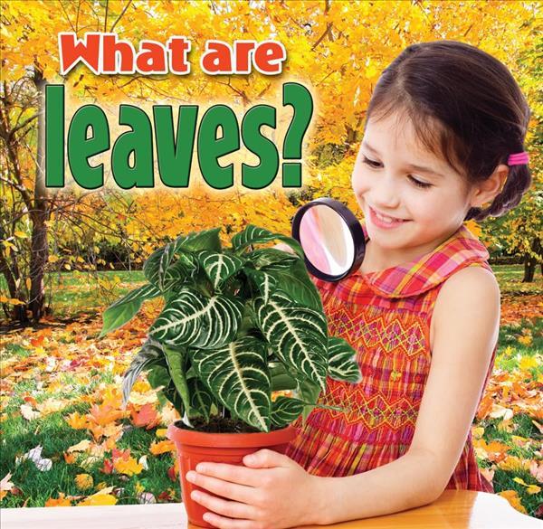 What Are Leaves? (Plants Close-Up)