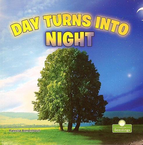 Day Turns Into Night (My First Science Books)