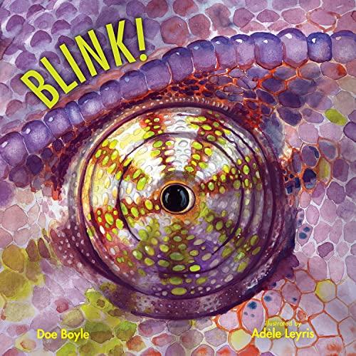 Blink! (Imagine This!)