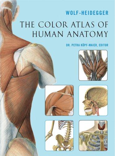 The Color Atlas Of Human Anatomy