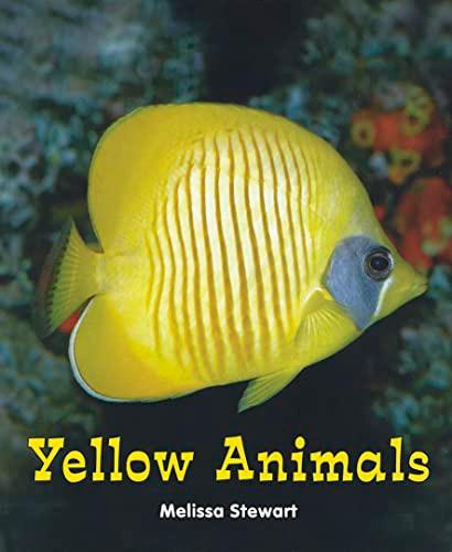 Yellow Animals (All About a Rainbow of Animals)