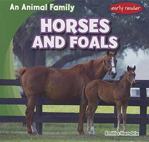 Horses and Foals (An Animal Family)