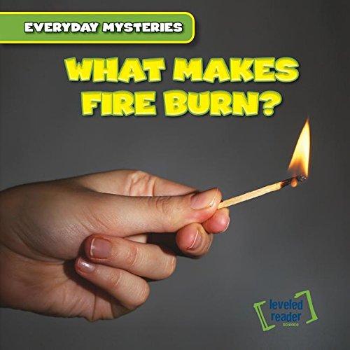 What Makes Fire Burn? (Everyday Mysteries)