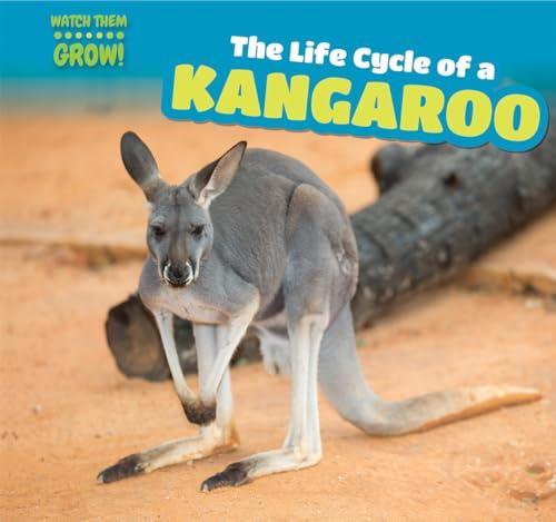 The Life Cycle of a Kangaroo (Watch Them Grow!)