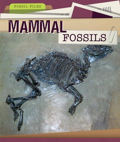 Mammal Fossils (Fossil Files)