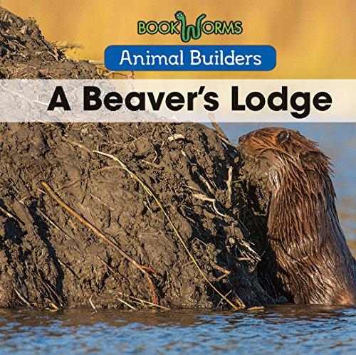 A Beaver's Lodge (Animal Builders)