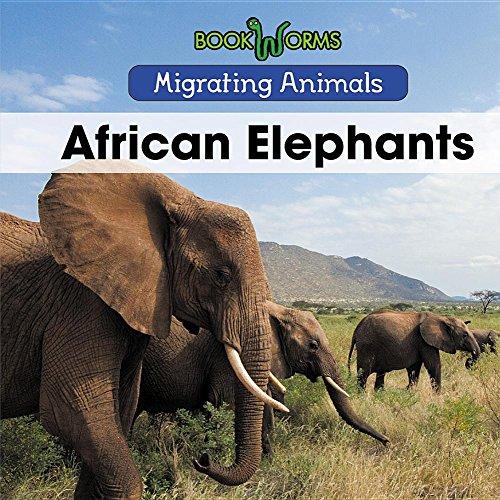 African Elephants (Migrating Animals)