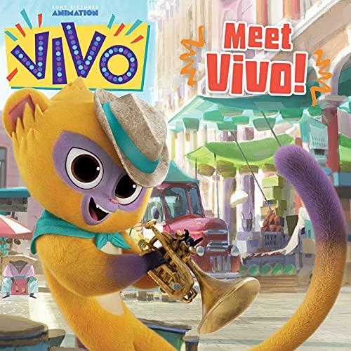 Meet Vivo! (Vivo)