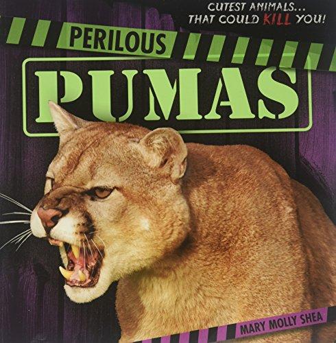 Perilous Pumas (Cutest Animals... That Could Kill You!)