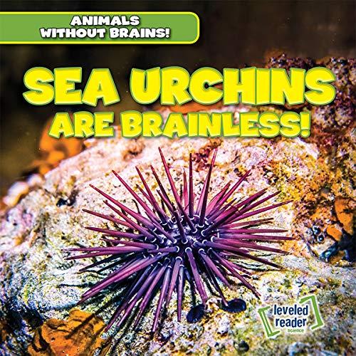 Sea Urchins Are Brainless! (Animals Without Brains!)