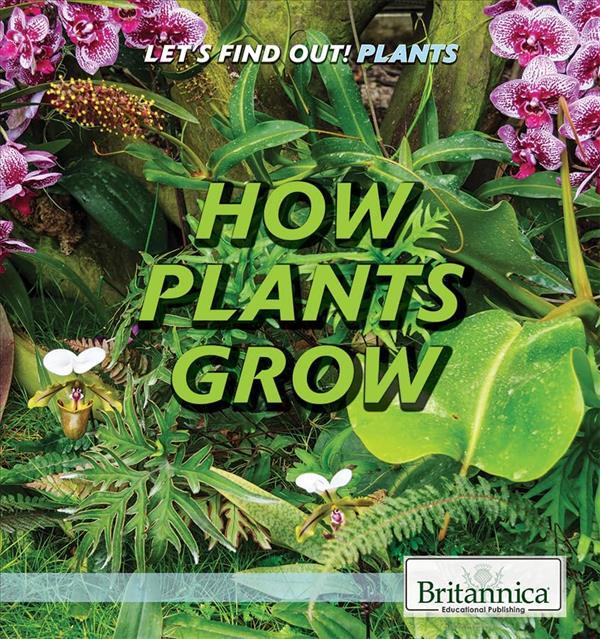 How Plants Grow (Let's Find Out!)