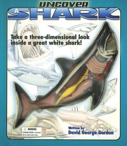 Uncover A Shark