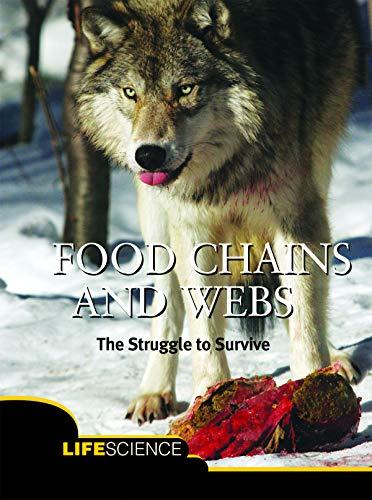 Food Chains and Webs: What Are They and How Do They Work? (Let's Explore Science)