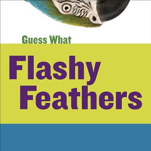 Flashy Feathers (Guess What)