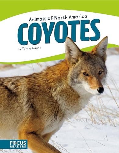Coyotes (Animals of North America)
