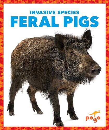Feral Pigs (Invasive Species)