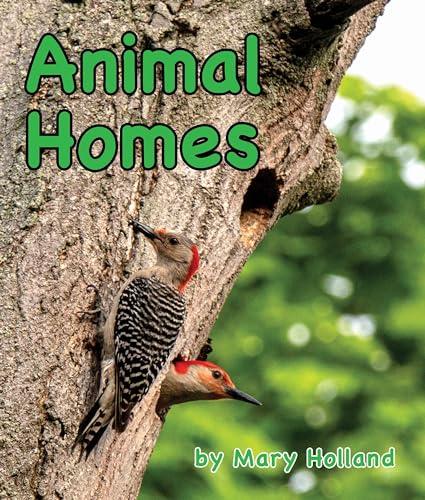 Animal Homes (Animal Anatomy and Adaptations)