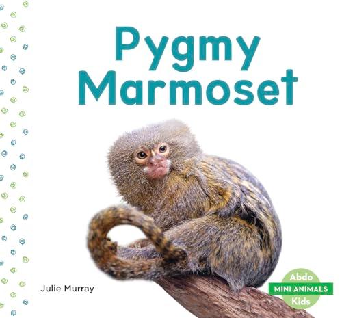 Pygmy Marmoset (Mini Animals)
