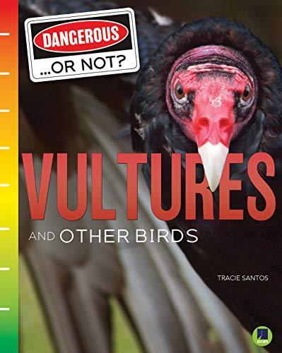 Vultures and Other Birds (Dangerous...or Not?)