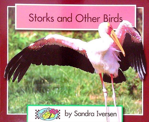 Storks and Other Birds (Quick 60)