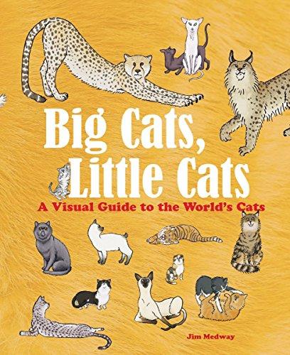 Big Cats, Little Cats: A Visual Guide to the World's Cats (Big and Little)
