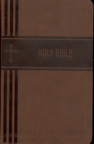 NIV Personal Size Giant Print Holy Bible (Brown Leathersoft)
