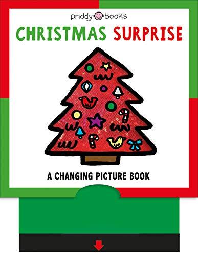 Christmas Surprise: A Changing Picture Book