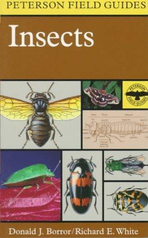 Insects (Peterson Field Guides)