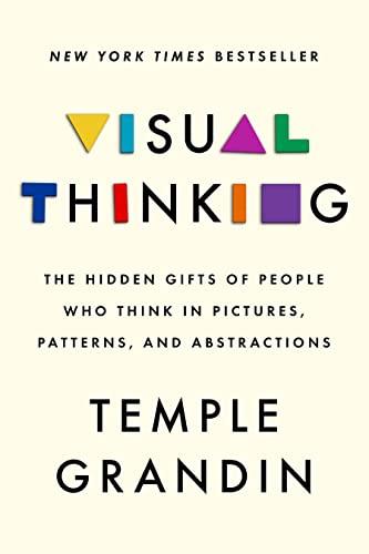 Visual Thinking: The Hidden Gifts of People Who Think in Pictures, Patterns, and Abstractions
