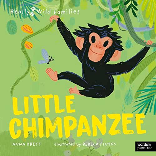 Little Chimpanzee (Really Wild Families)