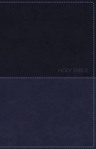 KJV Deluxe Gift Bible (Blue Imitation Leather)