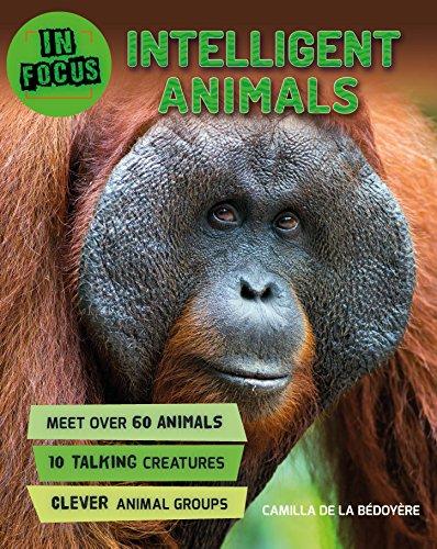 Intelligent Animals (In Focus)