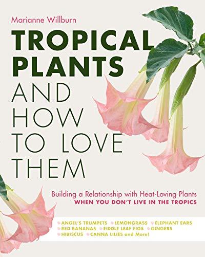 Tropical Plants and How to Love Them: Building a Relationship With Heat-Loving Plants When You Don't Live In The Tropics