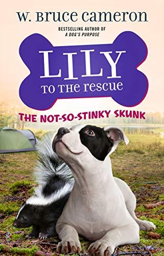 The Not-So-Stinky Skunk (Lily to the Rescue, Bk. 3)