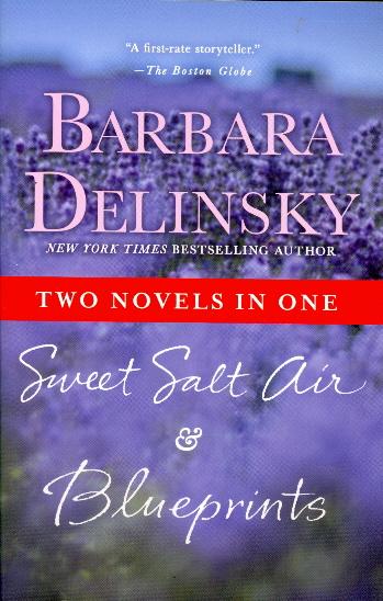 Sweet Salt Air/Blueprints (Two Novels in One)