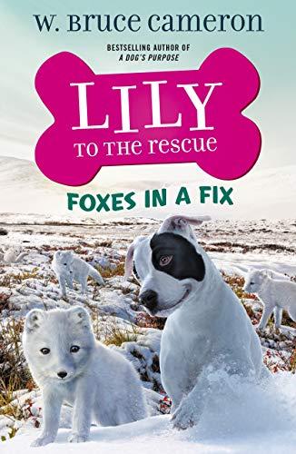 Foxes In a Fix (Lily to the Rescue, Bk. 7)