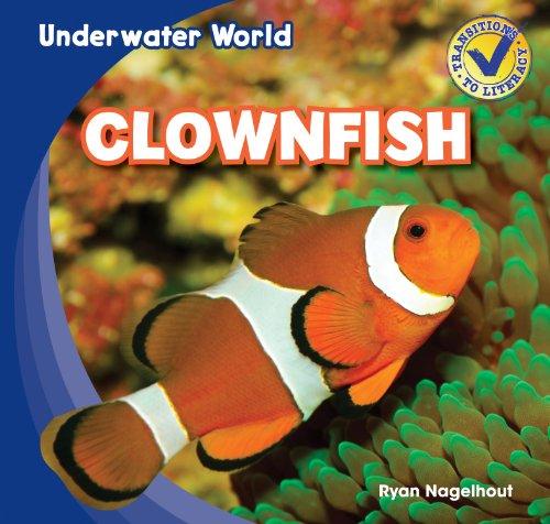 Clownfish (Underwater World)