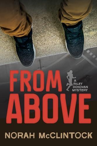 From Above (Riley Donovan, Bk. 2)