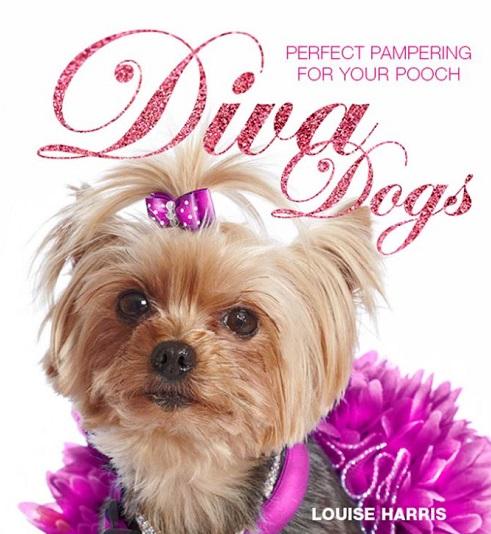 Diva Dogs: Perfect Pampering for Your Pooch