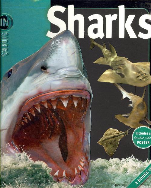 Oceans/Sharks (2 Books in 1)