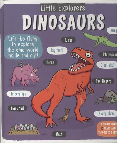 Dinosaurs (Little Explorers)