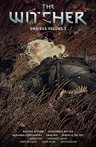The Witcher (Omnibus, Volume 2)