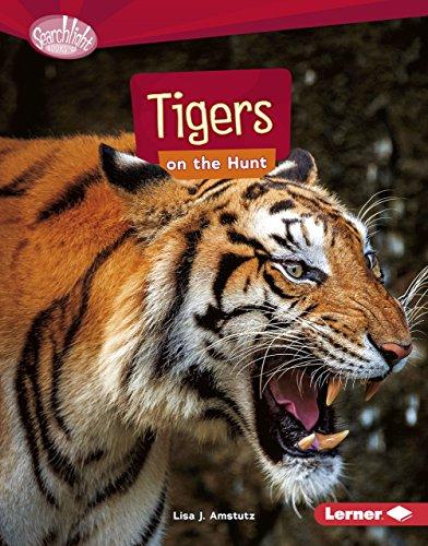 Tigers on the Hunt (Searchlight Books)
