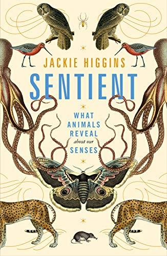 Sentient: What Animals Reveal About our Senses