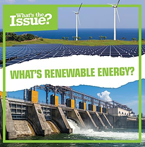 What's Renewable Energy? (What's the Issue?)