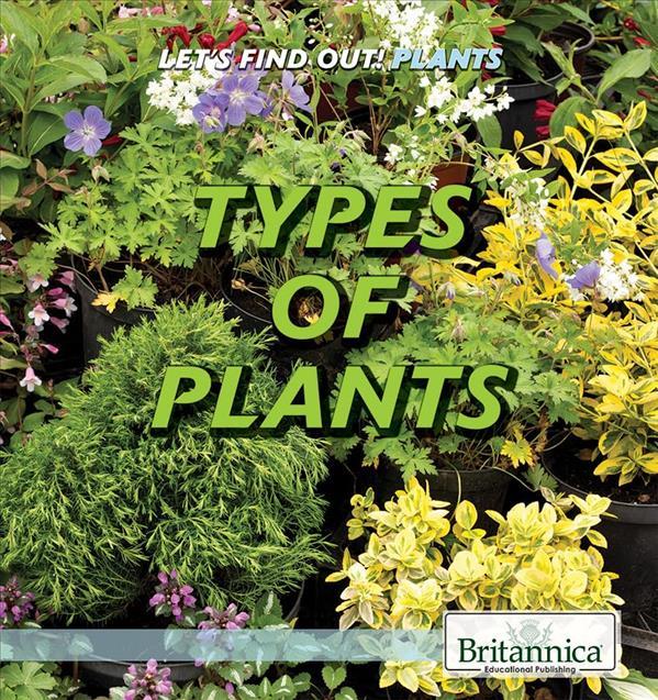 Types of Plants (Let's Find Out! Plants)