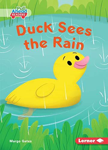 Duck Sees the Rain (Pull Ahead Readers)
