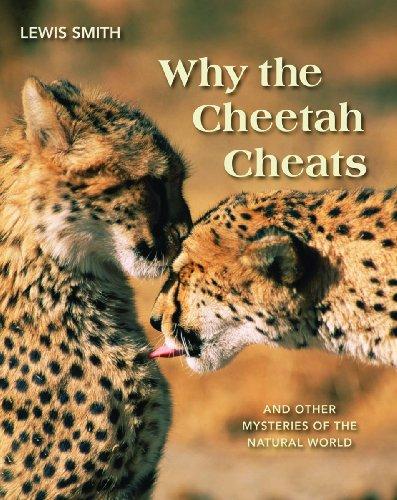 Why the Cheetah Cheats: And Other Mysteries of the Animal World